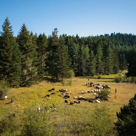 Gileri Eco & Design Residences