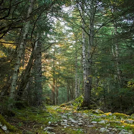 Gileri Eco & Design Residences דירה *