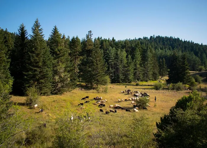 Gileri Eco & Design Residences