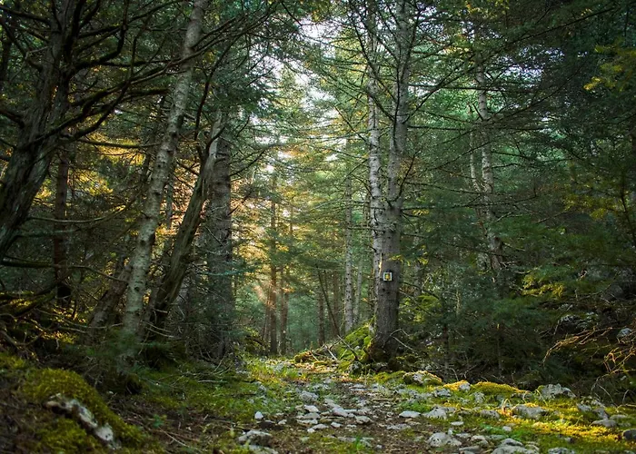 Gileri Eco & Design Residences Lejlighed *